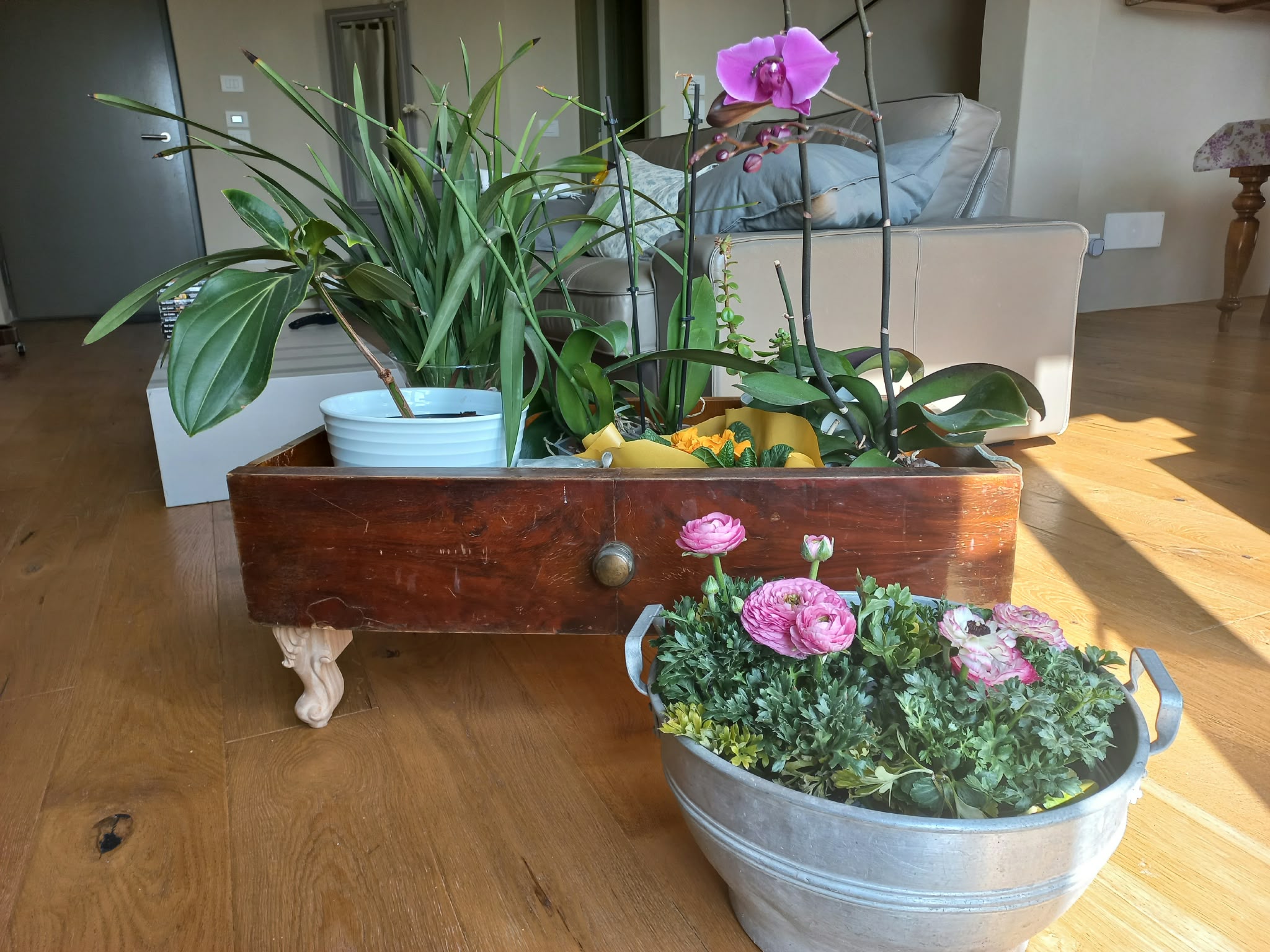 Spazi verdi del B&B Montefratta — foto 11