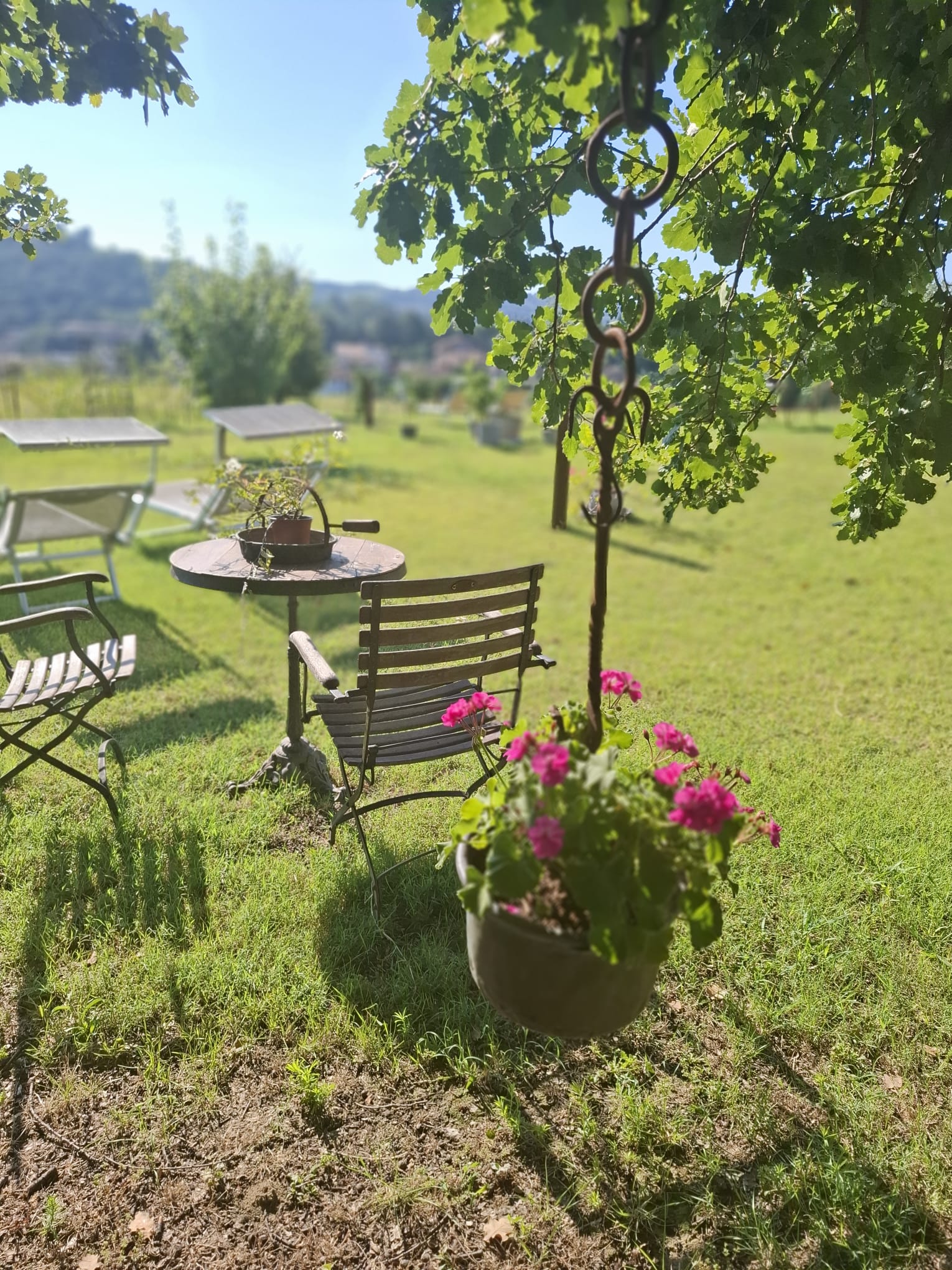 Spazi verdi del B&B Montefratta — foto 12