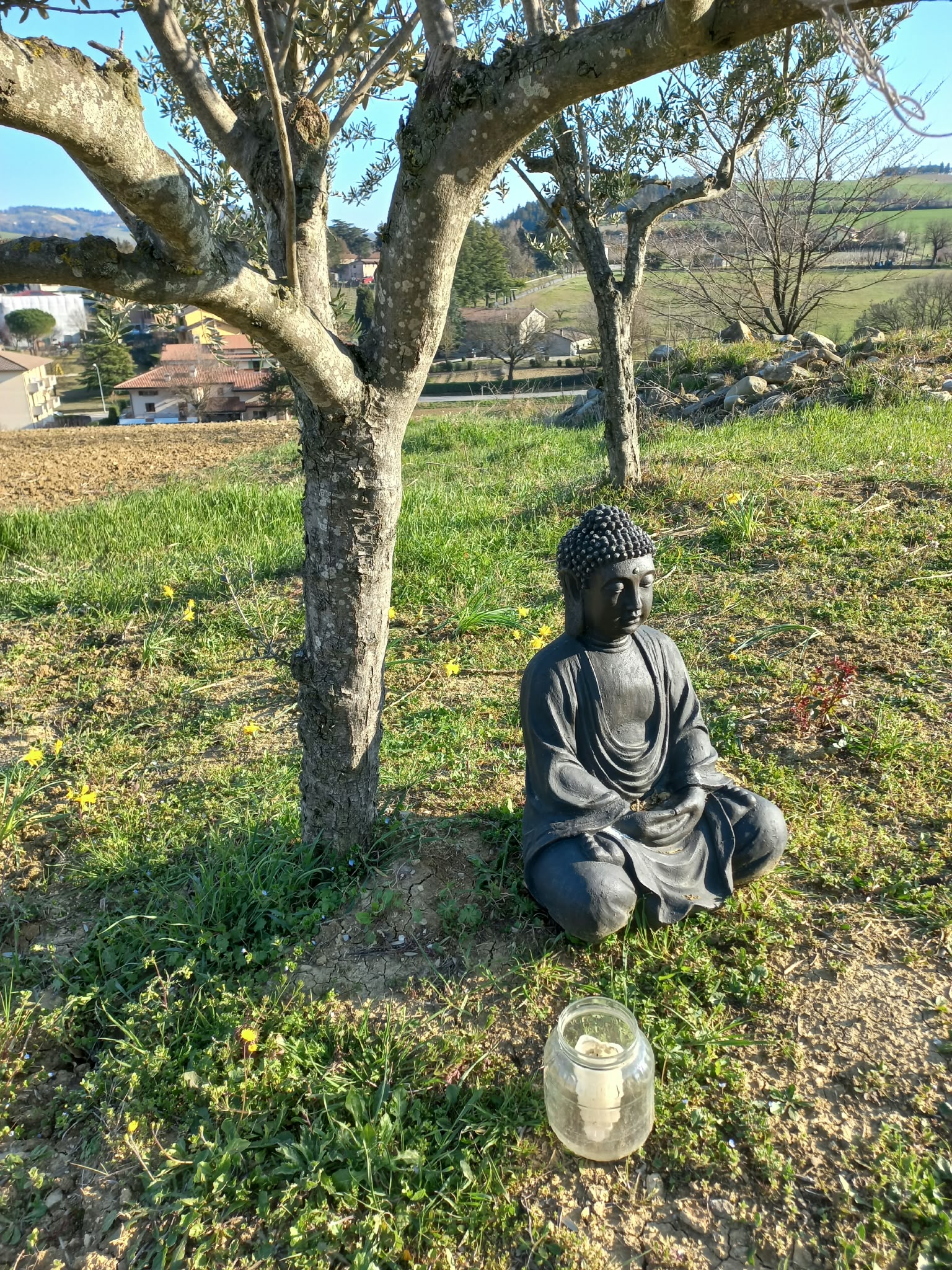 Spazi verdi del B&B Montefratta — foto 13